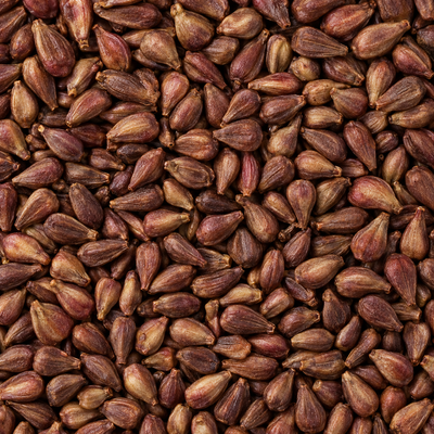 Grape Seed